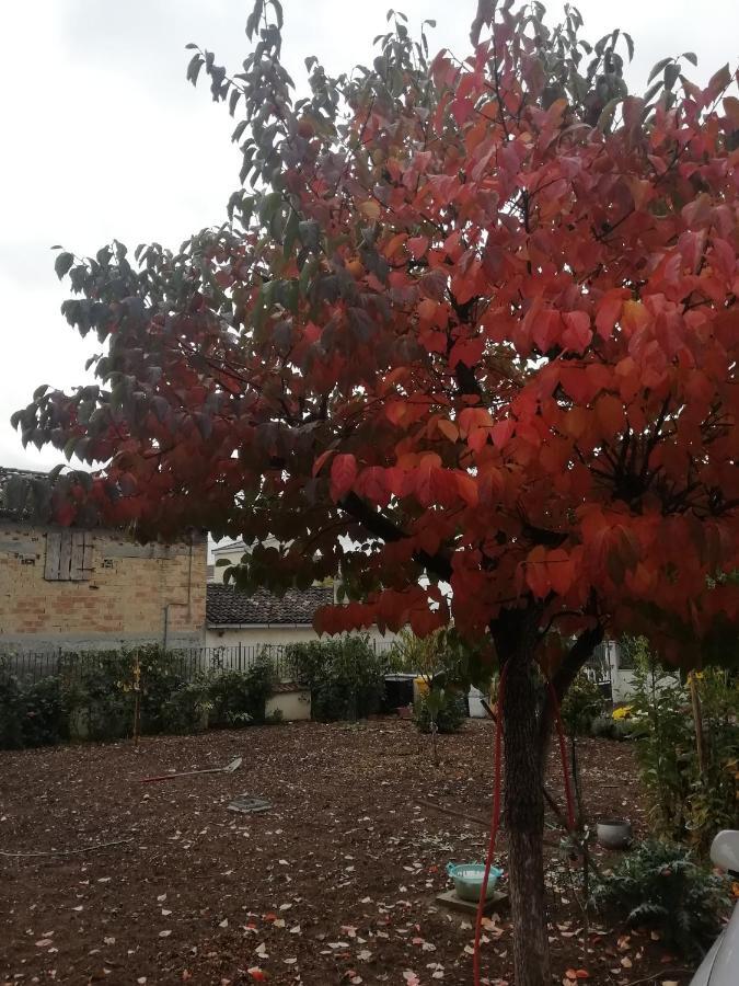 La Nuova Dimora B&B LʼAquila Kültér fotó